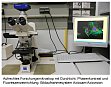  Forschungsmikroskope fr Hellfeld-, Phasenkontrast- und Fluoreszenzanalysen (aufrecht und invers) ausgerstet mit Axiocam/Axiovision Bildaufnahmesystem
